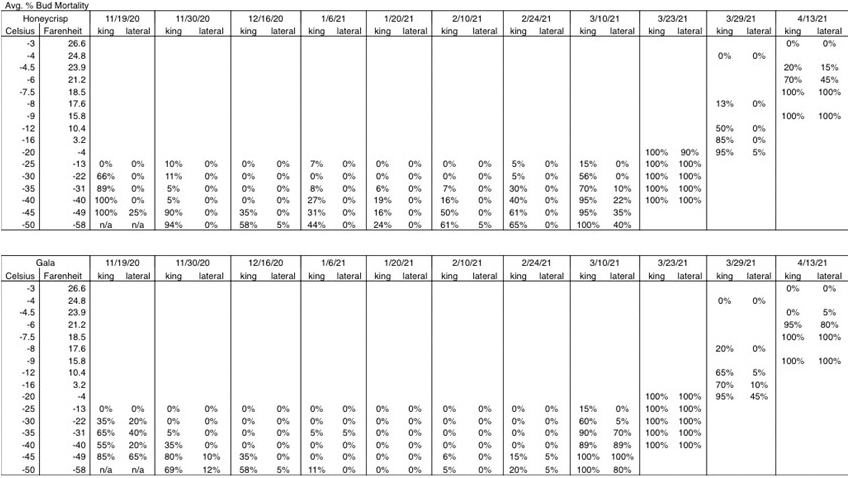 Table showing average percentage of apple bud mortality.